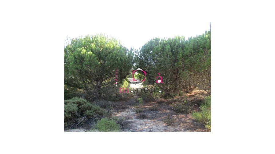 Terreno para Venda em Santo Andre Foto 12