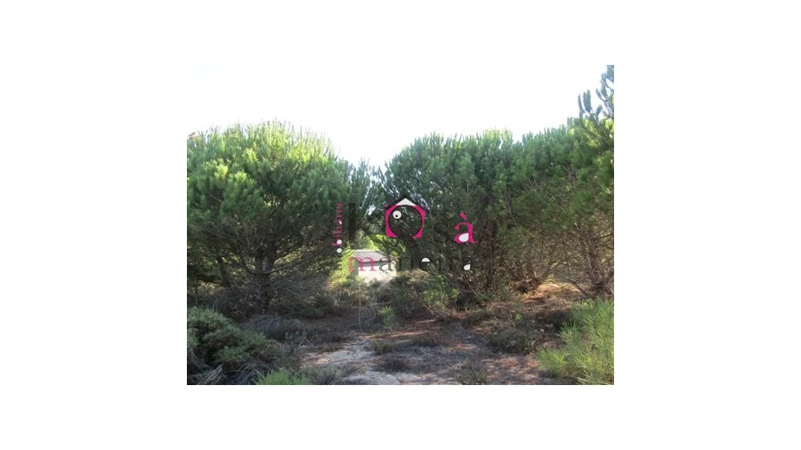 Terreno para Venda em Santo Andre Foto 11