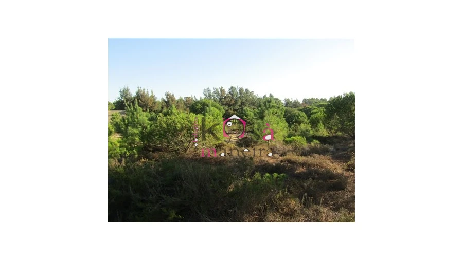 Terreno para Venda em Santo Andre Foto 13