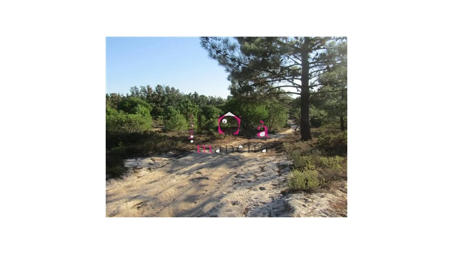 Terreno para Venda em Santo Andre Foto 15