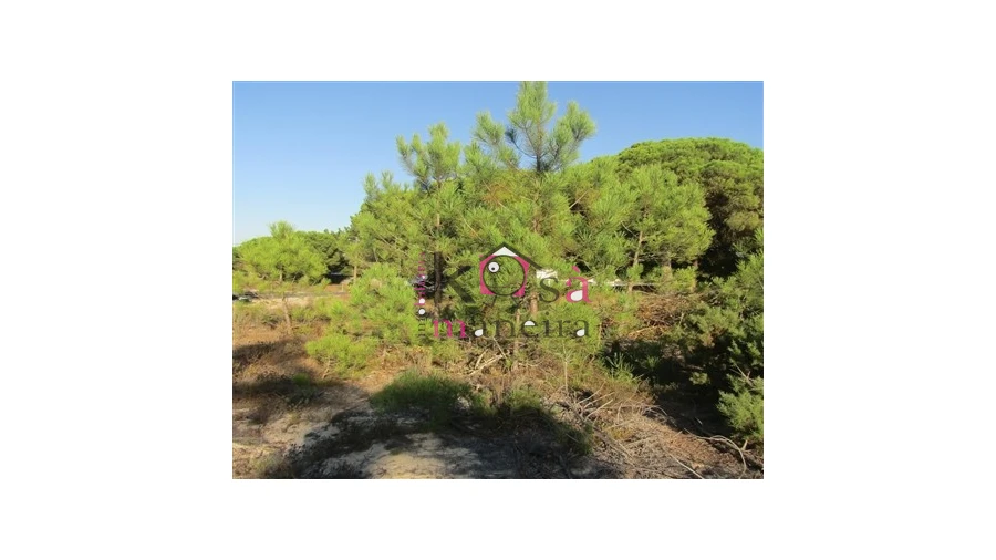 Terreno para Venda em Santo Andre Foto 16