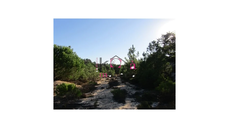 Terreno para Venda em Santo Andre Foto 14