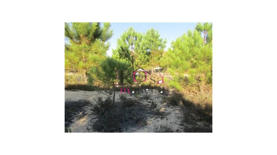 Terreno para Venda em Santo Andre Foto 4