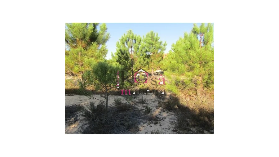 Terreno para Venda em Santo Andre Foto 6