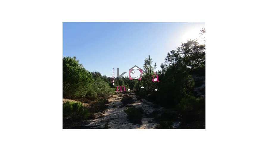 Terreno para Venda em Santo Andre Foto 5