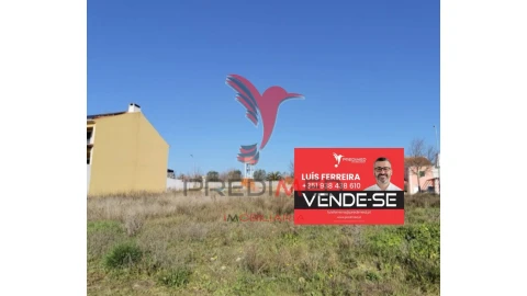 Terreno para Venda em Achete, Azoia de Baixo e Póvoa de Santarém