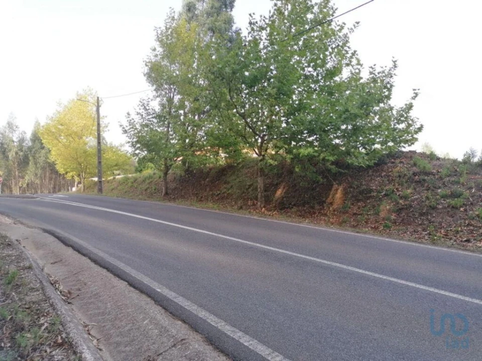 Terreno para Venda em Alcobertas Foto 4