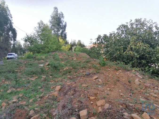 Terreno para Venda em Alcobertas Foto 6