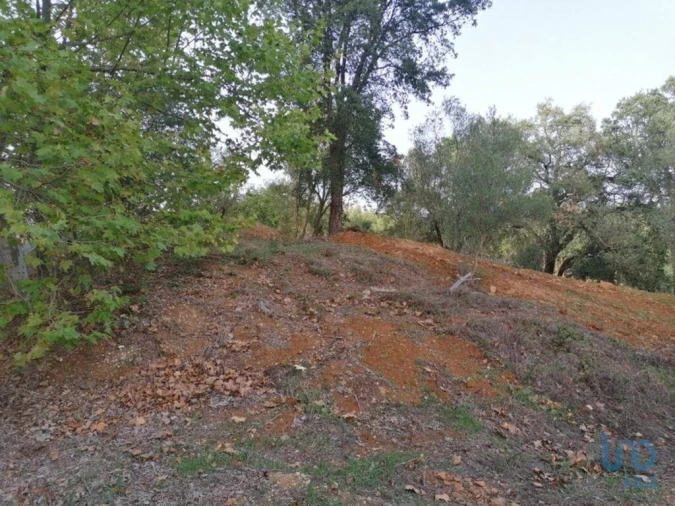 Terreno para Venda em Alcobertas Foto 10