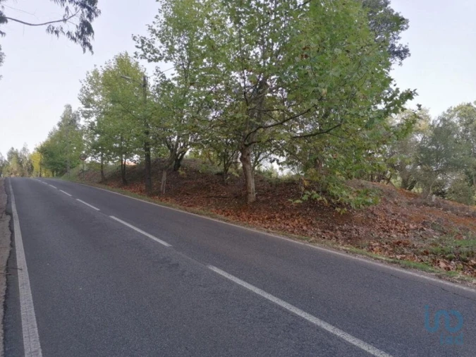 Terreno para Venda em Alcobertas Foto 11