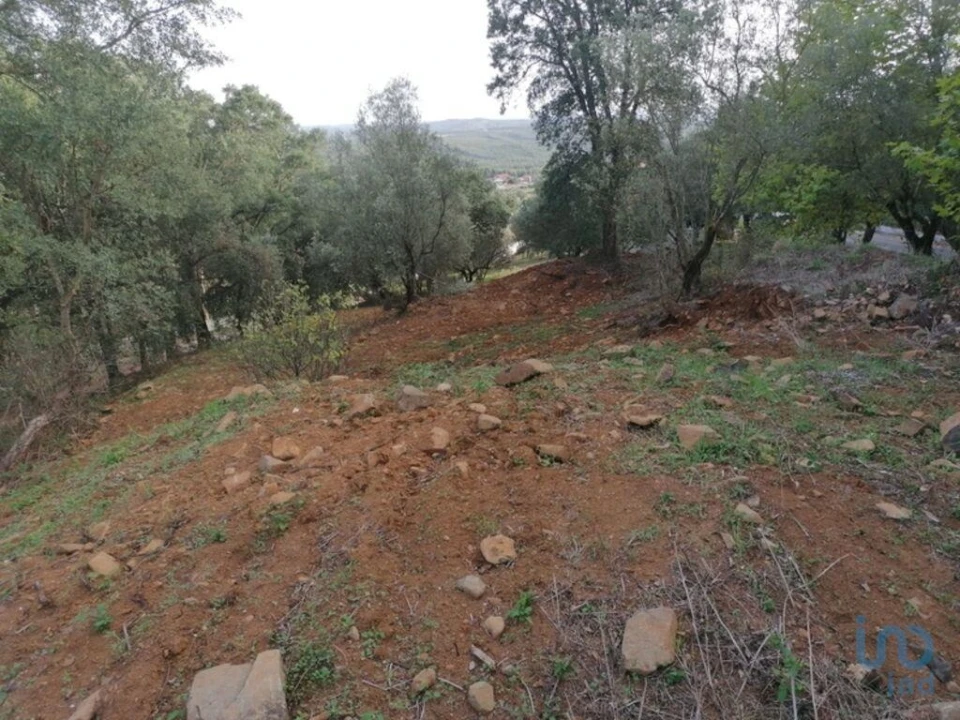 Terreno para Venda em Alcobertas Foto 5