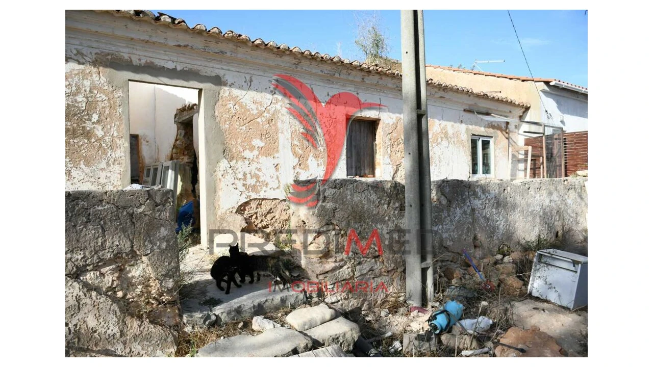 Quinta T5 para Venda em Algoz e Tunes Foto 5