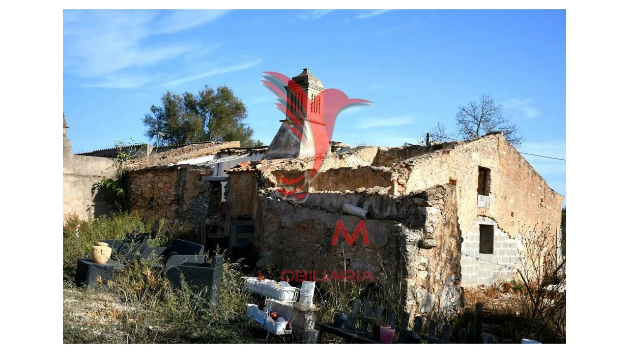 Quinta T5 para Venda em Algoz e Tunes Foto 2