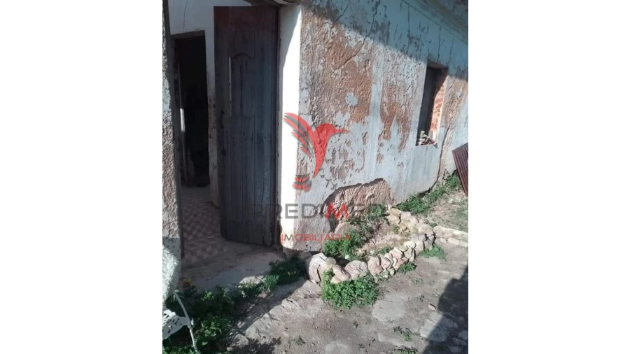 Quinta T5 para Venda em Algoz e Tunes Foto 6