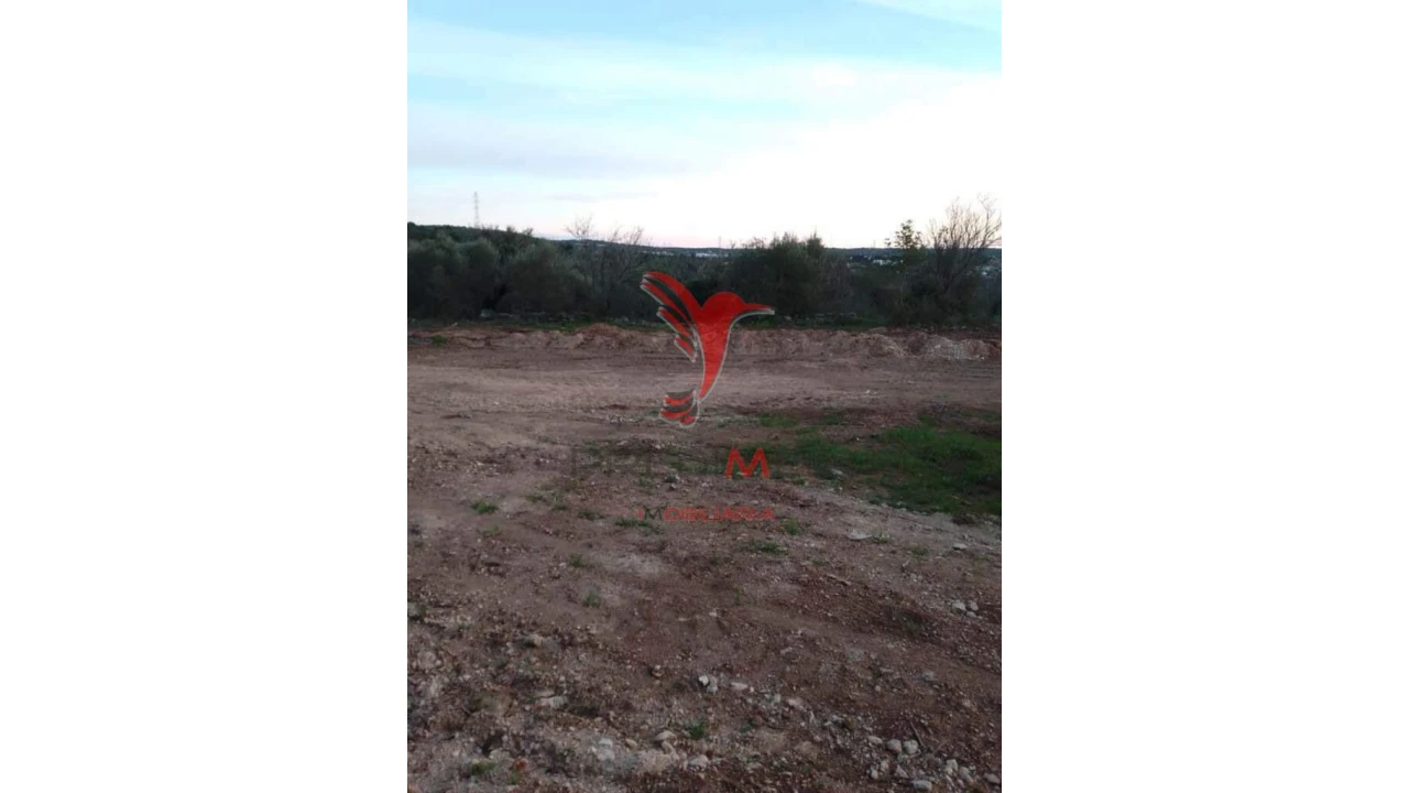 Quinta T5 para Venda em Algoz e Tunes Foto 7