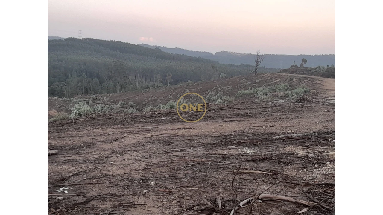 Terreno para Venda em Água Longa Foto 3