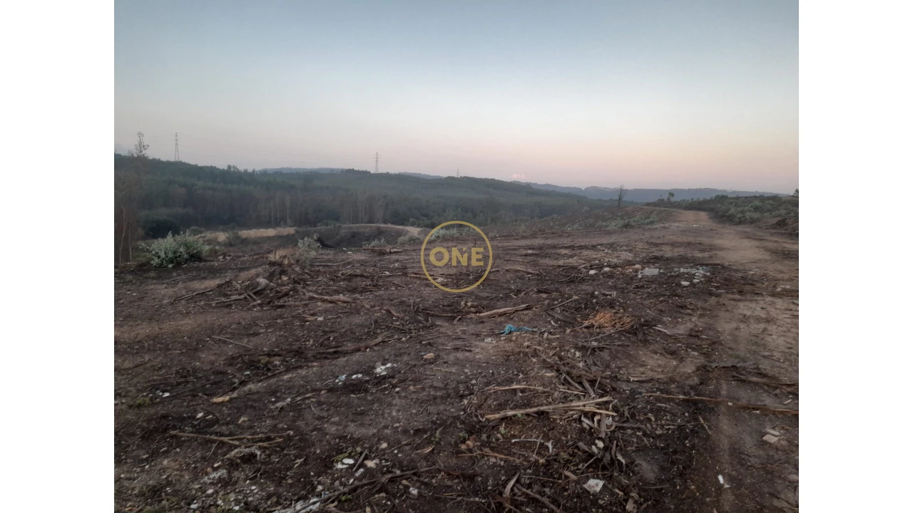 Terreno para Venda em Água Longa Foto 2