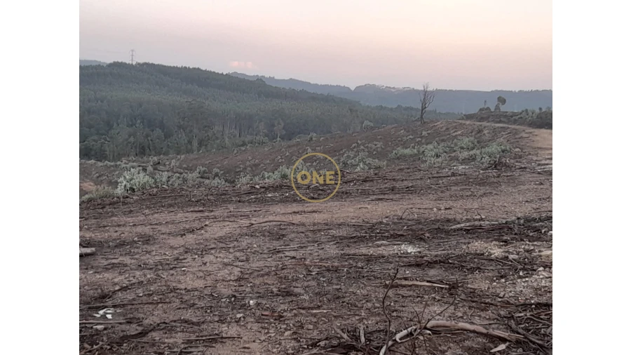 Terreno para Venda em Água Longa Foto 3