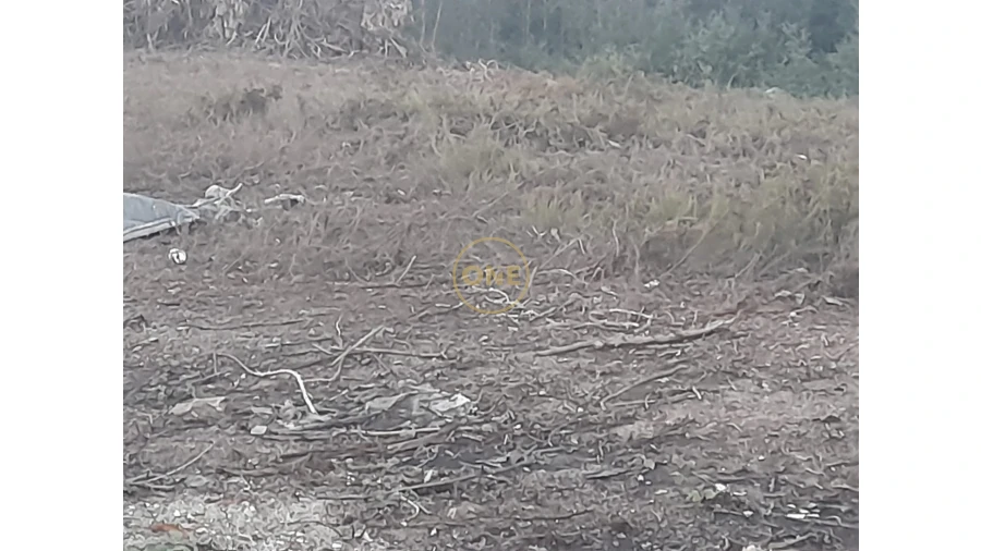 Terreno para Venda em Água Longa Foto 4
