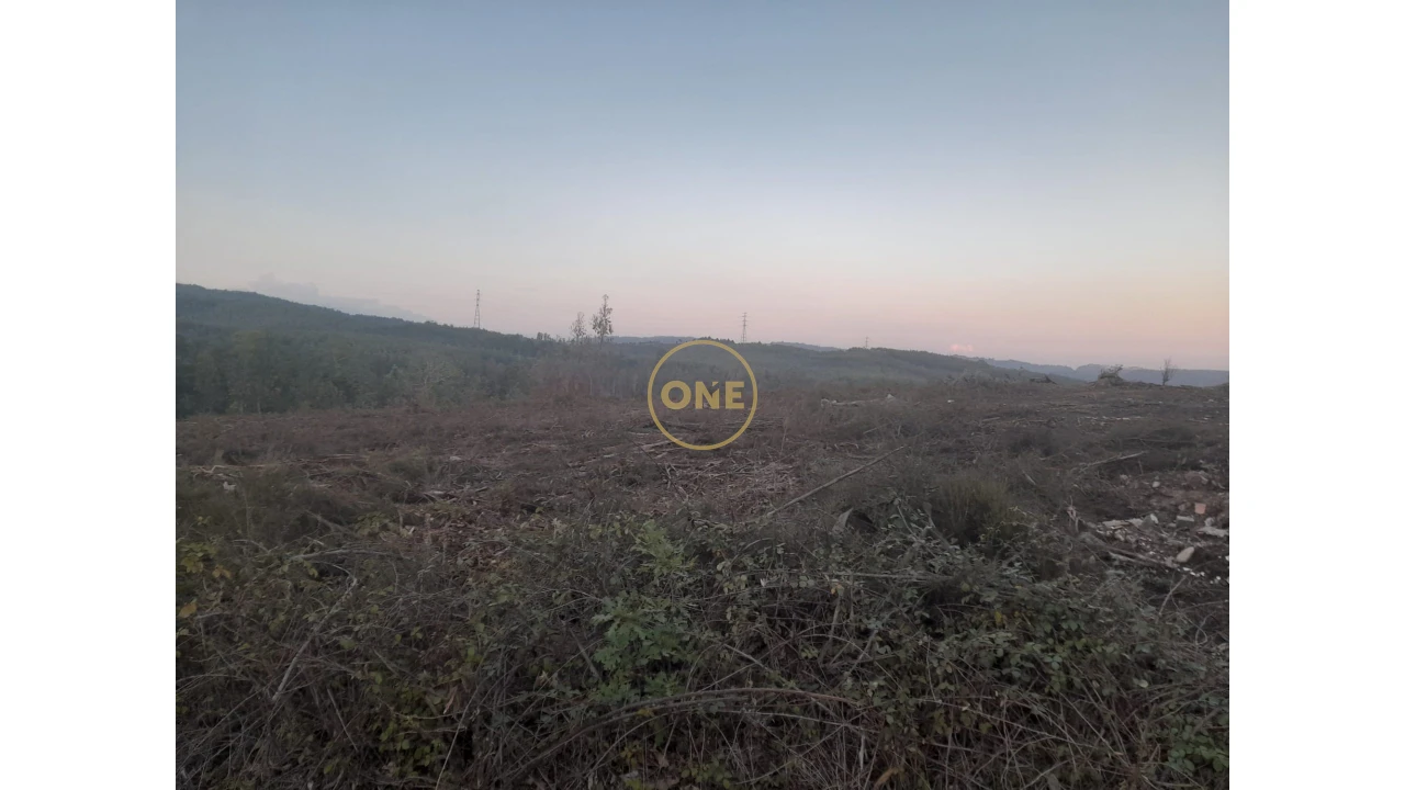 Terreno para Venda em Água Longa Foto 1