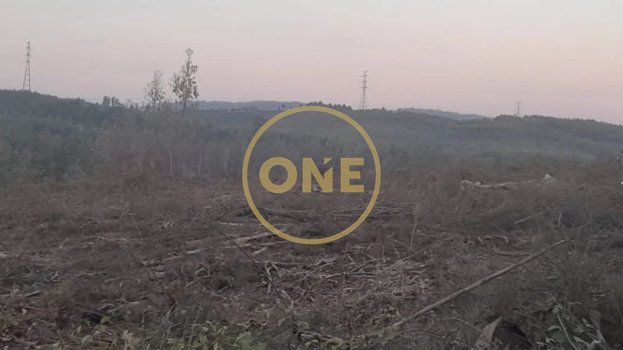 Terreno para Venda em Água Longa