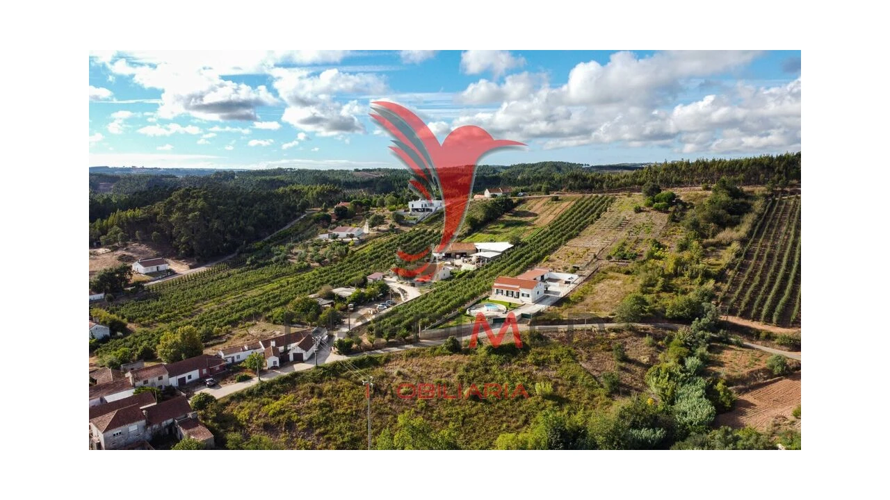 Terreno para Venda em Alvorninha Foto 3