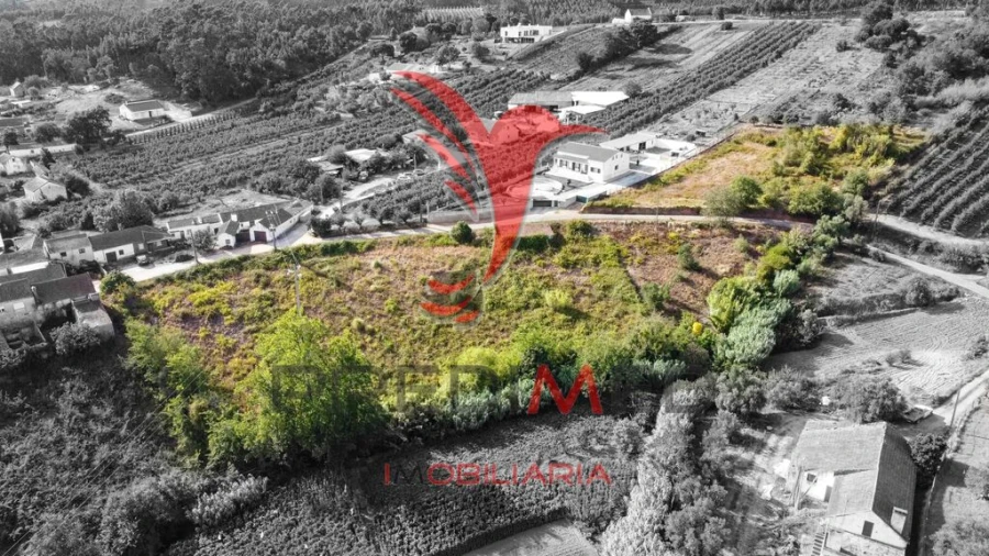 Terreno para Venda em Alvorninha Foto 2