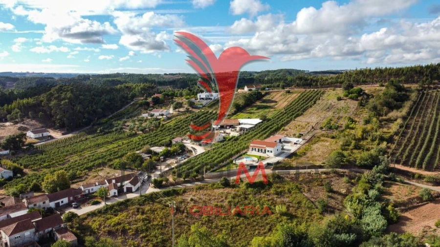 Terreno para Venda em Alvorninha Foto 3