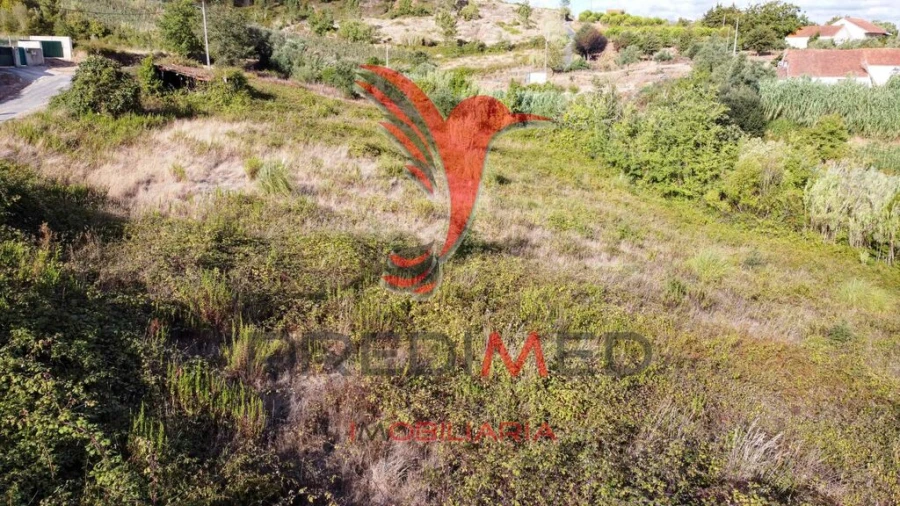 Terreno para Venda em Alvorninha Foto 14