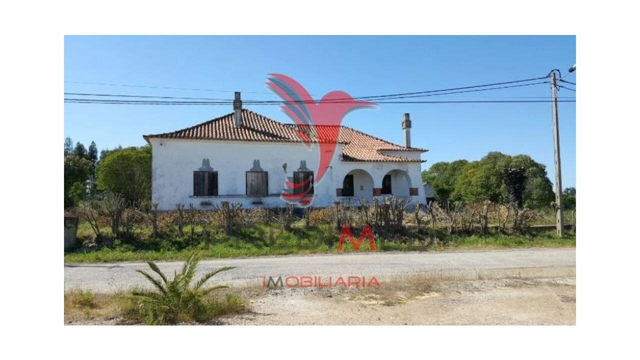 Moradia T4 para Venda em Azinheira dos Barros e São Mamede do Sádão Foto 1