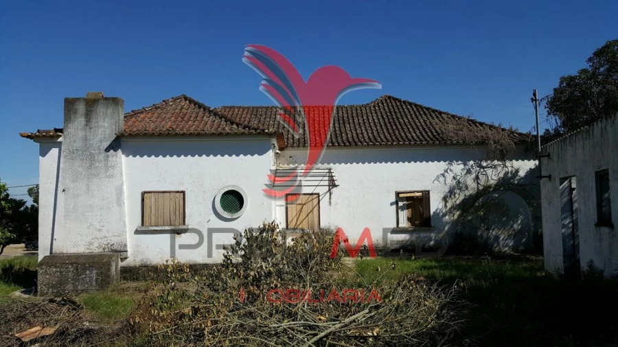 Moradia T4 para Venda em Azinheira dos Barros e São Mamede do Sádão Foto 20