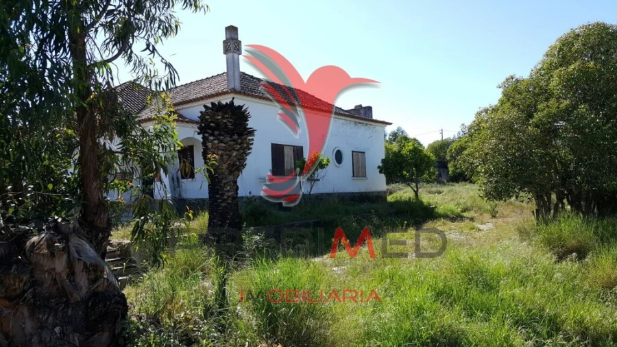 Moradia T4 para Venda em Azinheira dos Barros e São Mamede do Sádão Foto 15