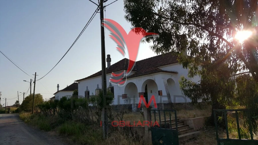 Moradia T4 para Venda em Azinheira dos Barros e São Mamede do Sádão Foto 14