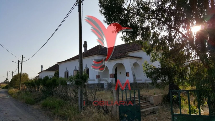 Moradia T4 para Venda em Azinheira dos Barros e São Mamede do Sádão Foto 2