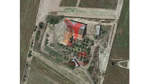 Quinta T3 para Venda em Grândola e Santa Margarida da Serra
