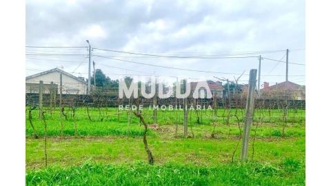 Terreno para Venda em Albergaria-A-Velha e Valmaior