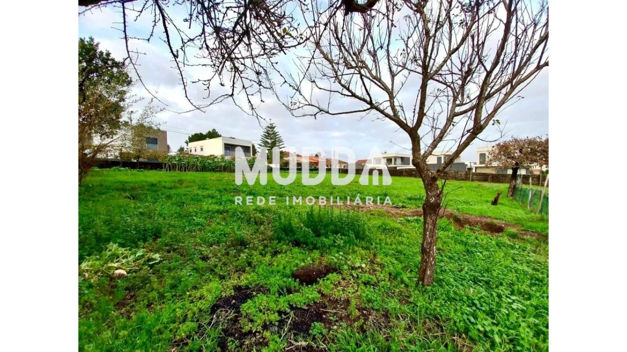 Terreno para Venda em Albergaria-A-Velha e Valmaior Foto 7