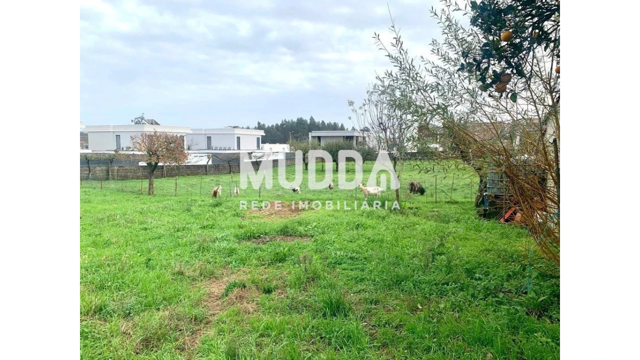 Terreno para Venda em Albergaria-A-Velha e Valmaior Foto 10