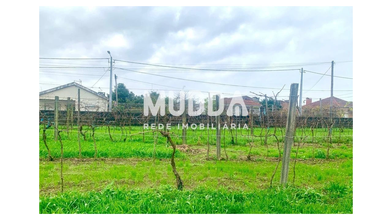 Terreno para Venda em Albergaria-A-Velha e Valmaior Foto 4