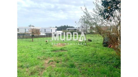 Terreno para Venda em Albergaria-A-Velha e Valmaior