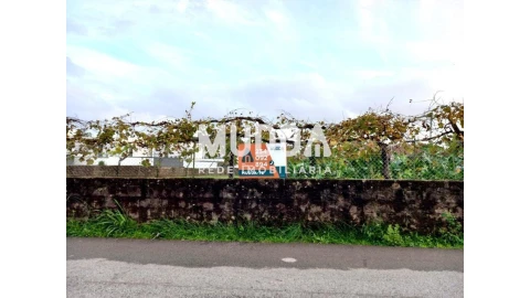 Terreno para Venda em Albergaria-A-Velha e Valmaior