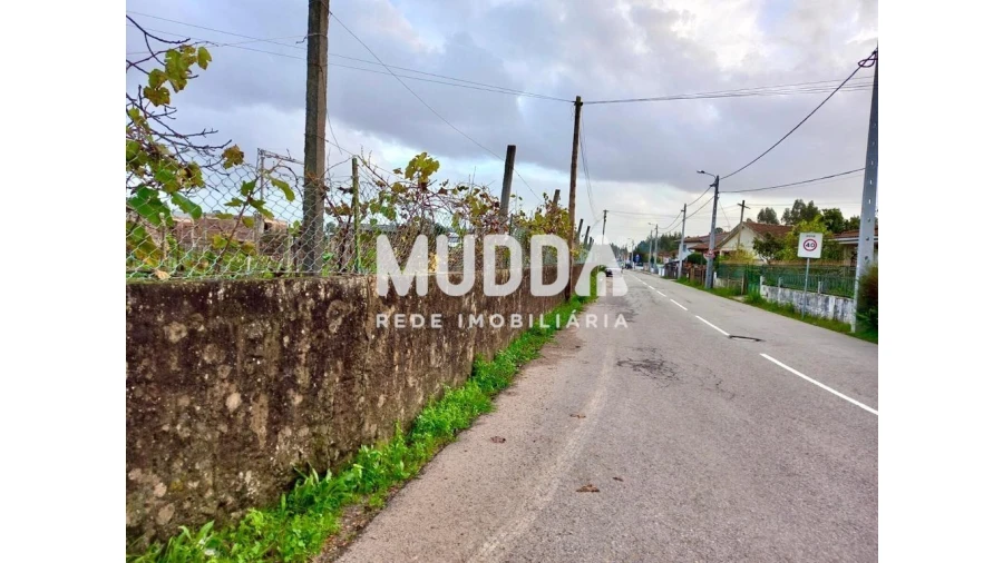 Terreno para Venda em Albergaria-A-Velha e Valmaior Foto 6