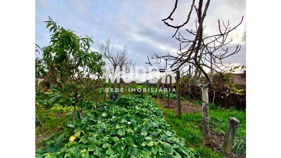 Terreno para Venda em Albergaria-A-Velha e Valmaior Foto 12