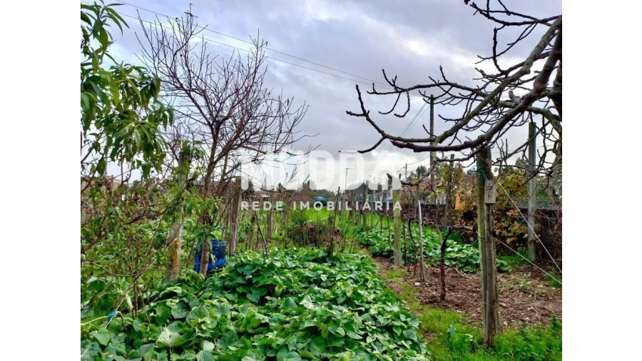 Terreno para Venda em Albergaria-A-Velha e Valmaior Foto 11
