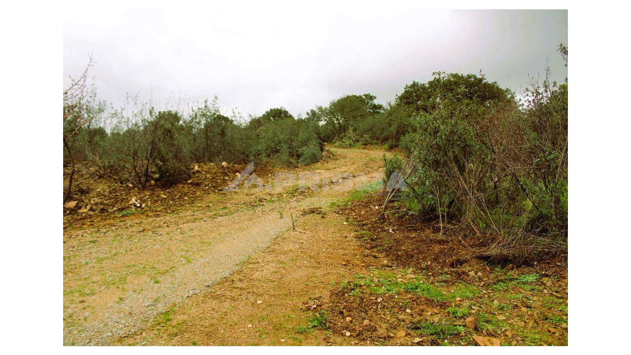 Quinta T3 para Venda em Malpica do Tejo Foto 18