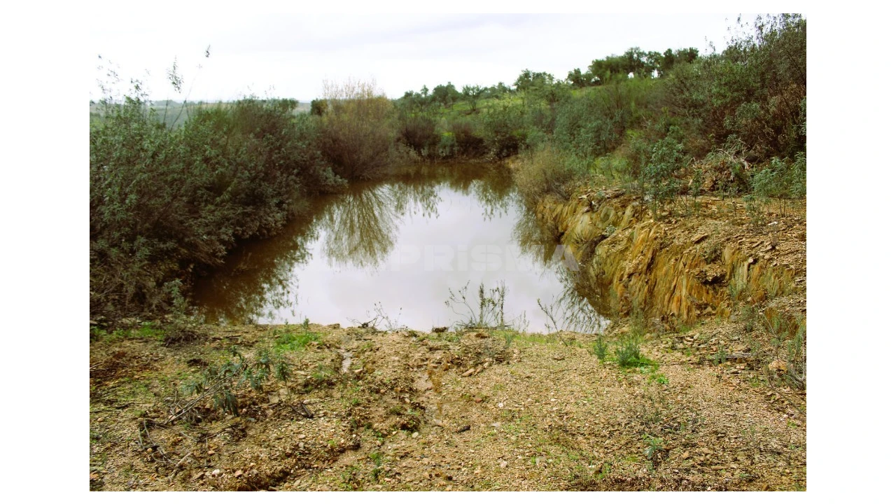 Quinta T3 para Venda em Malpica do Tejo Foto 16
