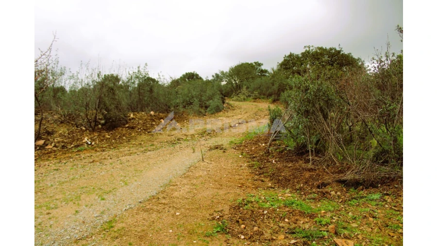 Quinta T3 para Venda em Malpica do Tejo Foto 18