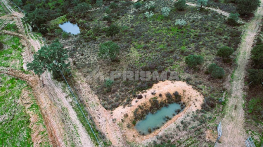 Quinta T3 para Venda em Malpica do Tejo Foto 15