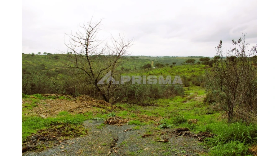 Quinta T3 para Venda em Malpica do Tejo Foto 17