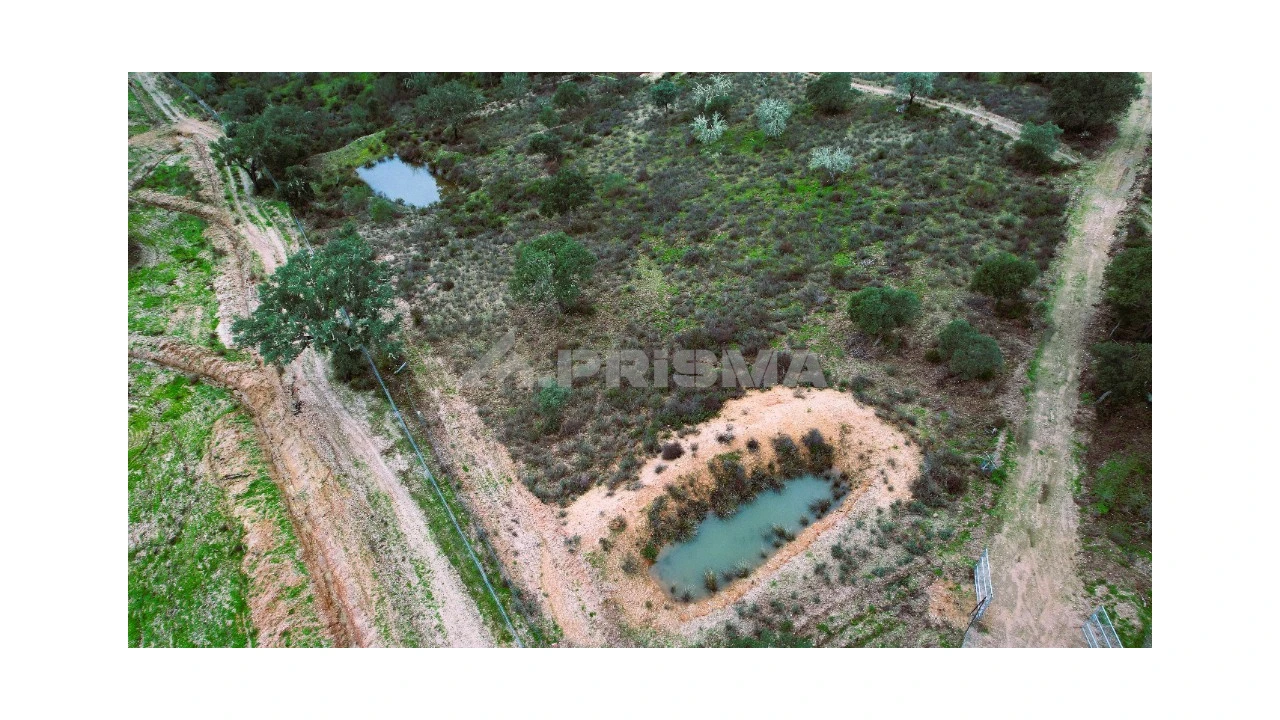 Quinta T3 para Venda em Malpica do Tejo Foto 15